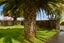 90 Taharangi Street, Koutu, Rotorua - Carousel 11