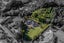 22 Brianell Valley Road, Pyes Pa, Tauranga - Carousel 19
