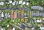 50 Webster Avenue, Mount Roskill, Auckland - Carousel 19