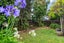 9 Kane Road, Papamoa Beach, Papamoa - Carousel 21