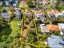 46 Lingarth Street, Remuera, Auckland - Carousel 5