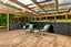 19 Imperial Place, Henderson, Auckland - Carousel 9