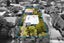 19 Miro Street, New Lynn, Auckland - Carousel 5