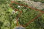 167 Duck Creek Road, Stillwater, Silverdale - Carousel 26