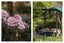 70 Kopu Road, Kopu, Thames - Carousel 48