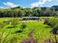0 Waikupa Road, Okoia, WHANGANUI - Carousel 23
