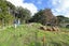 99 Birdsall Road, Whangateau - Carousel 12