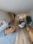 112C Edgeware Road, St Albans, Christchurch - Carousel 8