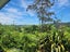 4 Clark Mcconachy Place, Raumanga, Whangarei - Carousel 3