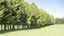 185 Masterton Castlepoint Road, Te Ore Ore, Masterton - Carousel 17