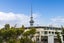 46B Saint Georges Bay Road, Parnell, Auckland - Carousel 21