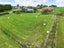 105 Fletcher Road, Ngahinapouri, Hamilton - Carousel 20