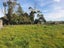 30 Old School Road, Awatuna, Hokitika - Carousel 40