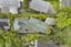 84 Gowing Drive, Meadowbank, Auckland - Carousel 5