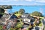 20 Dalmahoy Place, Wattle Downs, Auckland - Carousel 1