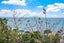 10 Zita Avenue, Matakatia Bay, Rodney, Auckland - Carousel 3