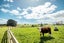 95D Webster Road, Matangi - Carousel 22