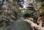 886 Purerua, Te Tii, Far North - Carousel 39