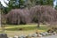 110 Letts Gully Road, Letts Gully, Alexandra - Carousel 29