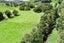 83 Paparoa Station Road, Paparoa, Paparoa - Carousel 4