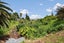 5A Matiere Road, Onehunga, Auckland - Carousel 6