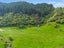 0 Kakapo Bay, Port Underwood, Picton - Carousel 13