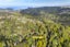 10 Minnehaha Avenue, Titirangi, Auckland - Carousel 12