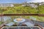 1 Southern Cross Cres, Island Bay, Wellington - Carousel 4