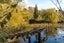 117 Rea Road, Tahawai, Katikati - Carousel 23