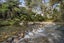 383A Lockington Road, Aongatete, Katikati - Carousel 24