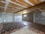 2 Erica Place, Bell Block, New Plymouth - Carousel 8