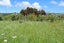 334 Oneriri Road, Kaiwaka, Kaiwaka - Carousel 5
