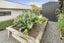 6 Munro Place, Flagstaff, Hamilton - Carousel 23