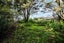 323 Glenfield Road, Glenfield, Auckland - Carousel 17