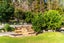 81 Avocado Lane, Wellsford - Carousel 23