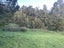 0 Horeke Road, Horeke, Okaihau - Carousel 10