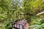 4 Valley Terrace, Hamilton Central, Hamilton - Carousel 5