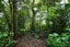285 Spencer Road, Lake Tarawera, Rotorua - Carousel 26