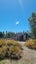 34 Jarnac Boulevard, Yaldhurst, Christchurch - Carousel 25