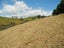 0 Hanning Road, Earnscleugh, Alexandra - Carousel 12
