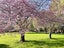 290 Queen Elizabeth II Drive, Mairehau, Christchurch - Carousel 28