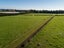 74 Armstrong Farm DR, East Tāmaki Heights, Auckland - Carousel 7