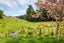 528 Stoney Creek Road, Kelvin Grove, Palmerston North - Carousel 25