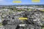 1 Kingsford Place, Otara, Auckland - Carousel 24