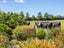 178 Upper Manaia Road, Upper Plain, Masterton - Carousel 8