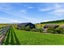164 Esler Road, Sutherlands, Pleasant Point - Carousel 43