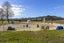 160 White Road, Broadlands Forest, Taupo, Waikato - Carousel 3