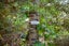 1288 Manaia Road, Manaia - Carousel 13