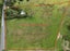 2799 State Highway 14, Tangiteroria - Carousel 32