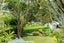124 Rolla Street, Normanby, Dunedin - Carousel 26